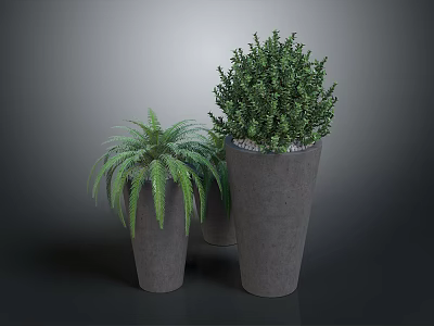 Lush Green Plants Arrangement With Fern And Bush In Gray Concrete Pots 3d model