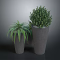 Lush Green Plants Arrangement With Fern And Bush In Gray Concrete Pots