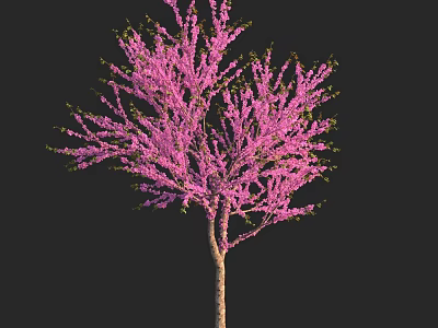 Pink Flower Tree Shaped Decorative Light For Home Ambient Lighting With Black Background 3d model