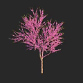 Pink Flower Tree Shaped Decorative Light For Home Ambient Lighting With Black Background