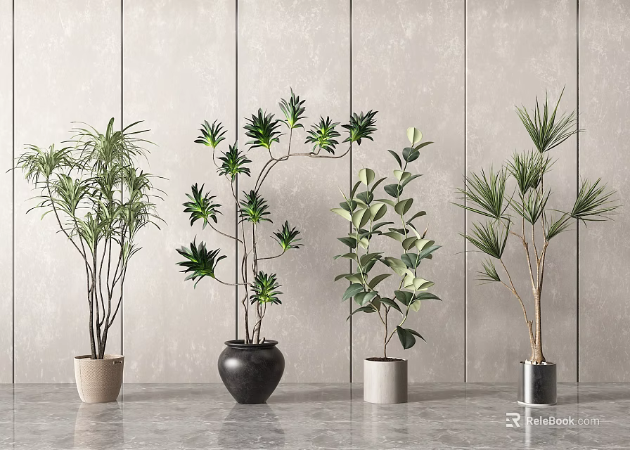 Diverse Potted Bonsai Plants With Various Leaf Types And Colored Planters For Indoor Decor 3d model 