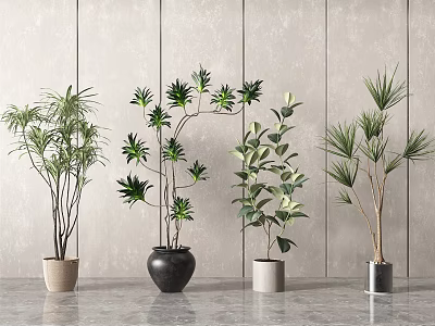 Diverse Potted Bonsai Plants With Various Leaf Types And Colored Planters For Indoor Decor 3d model