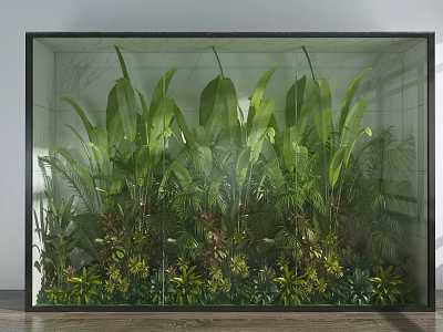 Indoor Green Plants Arrangement In Glass Display Case With Large Leaves And Ferns 3d model