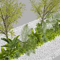Lush Green Plants with Diverse Leaf Shapes and Pebble Ground Setting