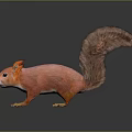 Animated Red Squirrel Game Character With Fluffy Tail And Orange Ears