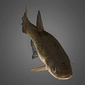 Freshwater Fish Creature With Large Eyes And Detailed Fins On Grey Background