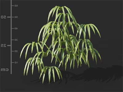 Green Leafy Houseplant With Long Lush Foliage And Vibrant Green Leaves 3d model
