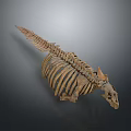Prehistoric Animal Skeleton with Long Spine Rib Cage and Horned Skull