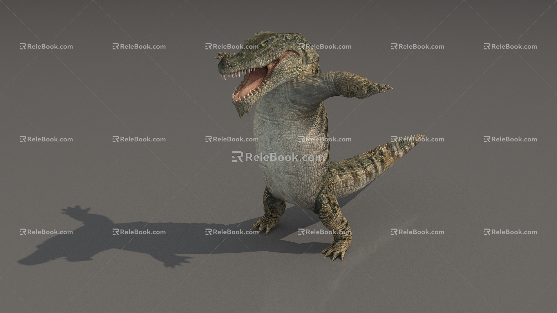 Crocodile Chinese Alligator Alligator Alligator Fish-eating Alligator Nile Alligator Prehistoric Animal Carnivore Alligator Super Realistic High Precision Video Level 3d model