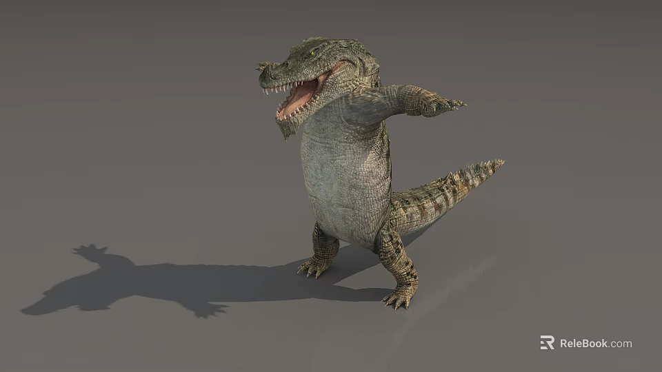 Crocodile Reptile Standing With Open Mouth And Shadow On Gray Background 3d model 