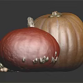 Different Colored Pumpkins In Various Shapes With Seeds On Black Reflective Surface