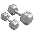 Black Hexagonal Dumbbells For Fitness Equipment With 10 And 25 Weight Training Plates