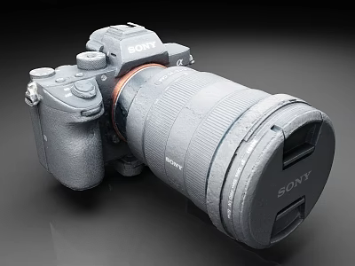 Sony Digital Camera Body With Attached Zoom Lens And Control Buttons 3d model