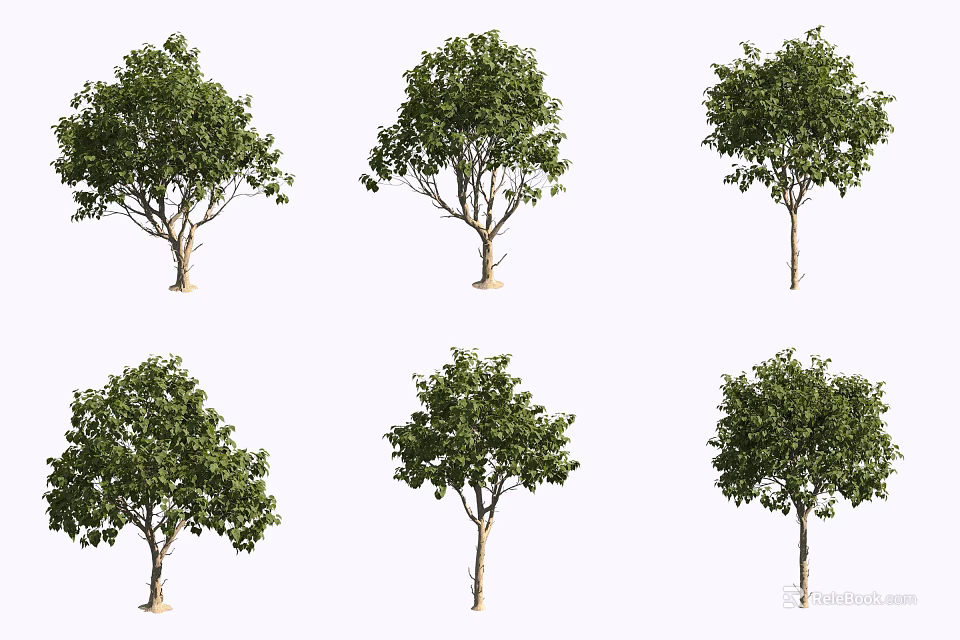 Multiple Arbor Trees With Green Leaves Individually Arranged In Rows 3d model