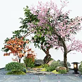 Garden Plant Combination With Cherry Blossom Green Orange Trees Bushes Stones Steps And Lantern