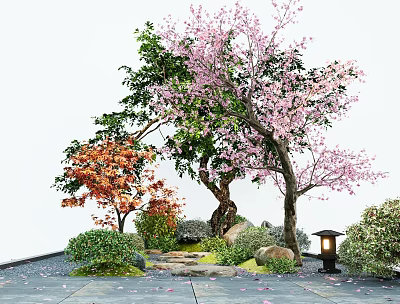 Garden Plant Combination With Cherry Blossom Green Orange Trees Bushes Stones Steps And Lantern 3d model