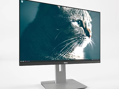 Dell Monitor With Cat Image Displayed On Screen And Sleek Design 3d model