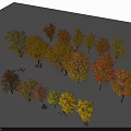 Colorful Model Trees With Green Yellow Orange Red Leaves Arranged On White Background