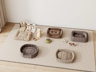 Cozy Reptile Habitats In Various Shapes And Colors On Carpet With Supplies 3d model