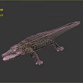 Crocodile Alligator Nile Crocodile carnivore reptile cold-blooded animal reptile 3d model