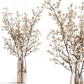 Elegant Glass Vase With Natural Branches And White Flowers For Home Decor