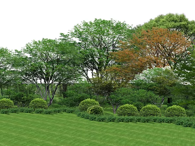 Lush Green Lawn With Diverse Trees Having Green And Orange Foliage And Neatly Trimmed Shrubs 3d model