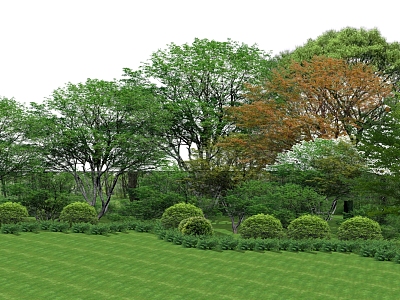 Modern Tree Plant Group model