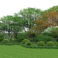 Lush Green Lawn With Diverse Trees Having Green And Orange Foliage And Neatly Trimmed Shrubs