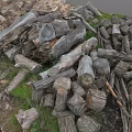 Scattered Pile of Raw Wood Logs and Stones on Grassy Natural Ground