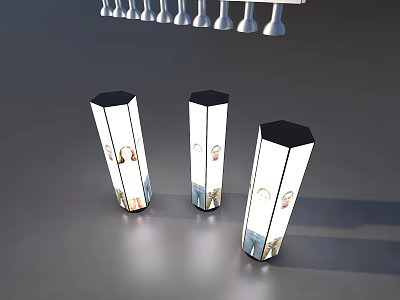 Outdoor Public Facility Decorative Illuminated Lanterns With White Bodies Black Tops And Artwork 3d model