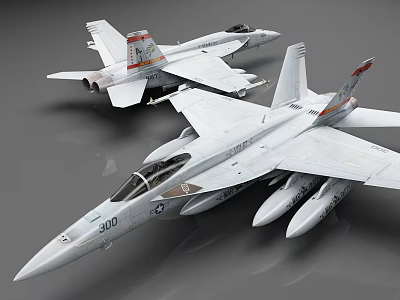 Detailed Military Fighter Jet Models With Wing Design Missile Attachments And Number 300 3d model