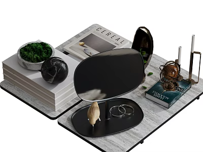 Stylish Decorative Ornament Set With Mirror Green Plant Book And Black Sphere 3d model
