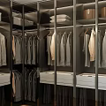 Organized Modern Wardrobe Interior Design With Hanging Clothes Drawers And Storage Boxes 3d model