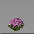 Fresh Vibrant Purple Cauliflower With Green Leaves On Dark Background