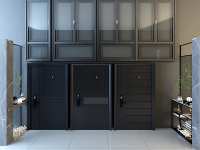 Black Modern Security Doors With Glass Cabinets In Indoor Showroom 3d model