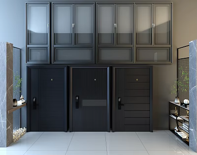 Black Modern Security Doors With Glass Cabinets In Indoor Showroom 3d model