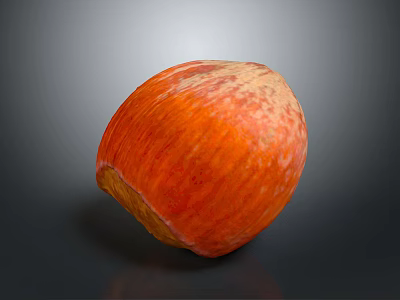 Fresh Ripe Hazelnut With Orange Textured Surface On Dark Background 3d model
