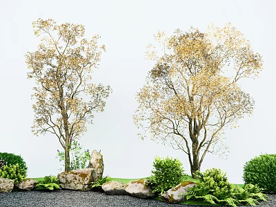 Golden Leaf Trees In Garden Landscape With Rocks Bushes And Gravel 3d model