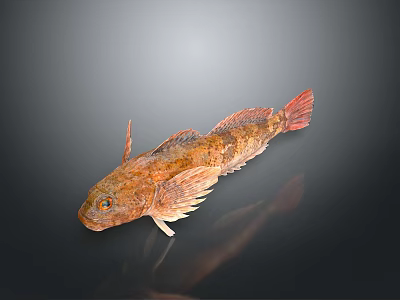 Brown Spotted Aquatic Fish With Unique Fins And Orange Eyes On Dark Surface 3d model