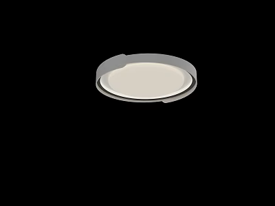 Modern Round Ceiling Light With Sleek White Shade And Decorative Design 3d model