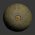 Fresh Ripe Cantaloupe With Yellow Green Netted Skin On Dark Reflective Surface