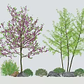Flowering and Green Leaved Trees with Shrubs and Rocks in Natural Landscape