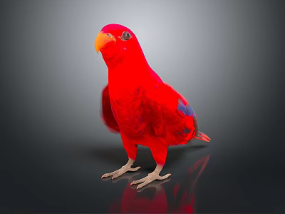 Vibrant Red Parrot Animal Painting With Orange Beak And Blue Wings On Black Background 3d model
