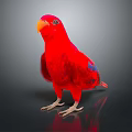 Vibrant Red Parrot Animal Painting With Orange Beak And Blue Wings On Black Background