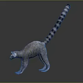 Ring-tailed Lemur Standing on Dark Background with Gray and White Fur and Long Striped Tail