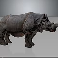 Realistic Large Rhino Model With Thick Textured Skin And Single Horn Standing On Gray Background