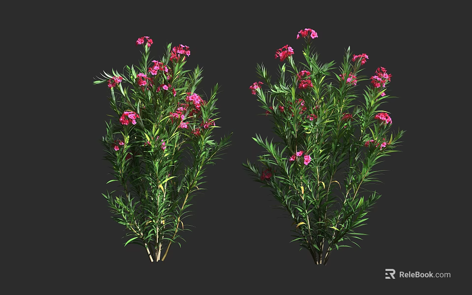 Vibrant Flowering Shrubs With Pink Blooms And Lush Green Foliage 3d model 