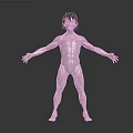 Outstretched Human Limbs 3D Model Showing Anatomical Structure And Muscle Definition 3d model