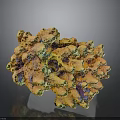 Colorful Coral Structure With Yellow Orange Purple Porous Texture And Holes