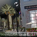 Bustling Commercial Street With Palm Trees Tall Buildings Shops Outdoor Seating And Pedestrians